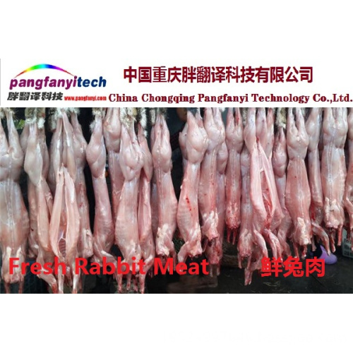 Fresh Healthy Tasty Self-produced Rabbit Meat